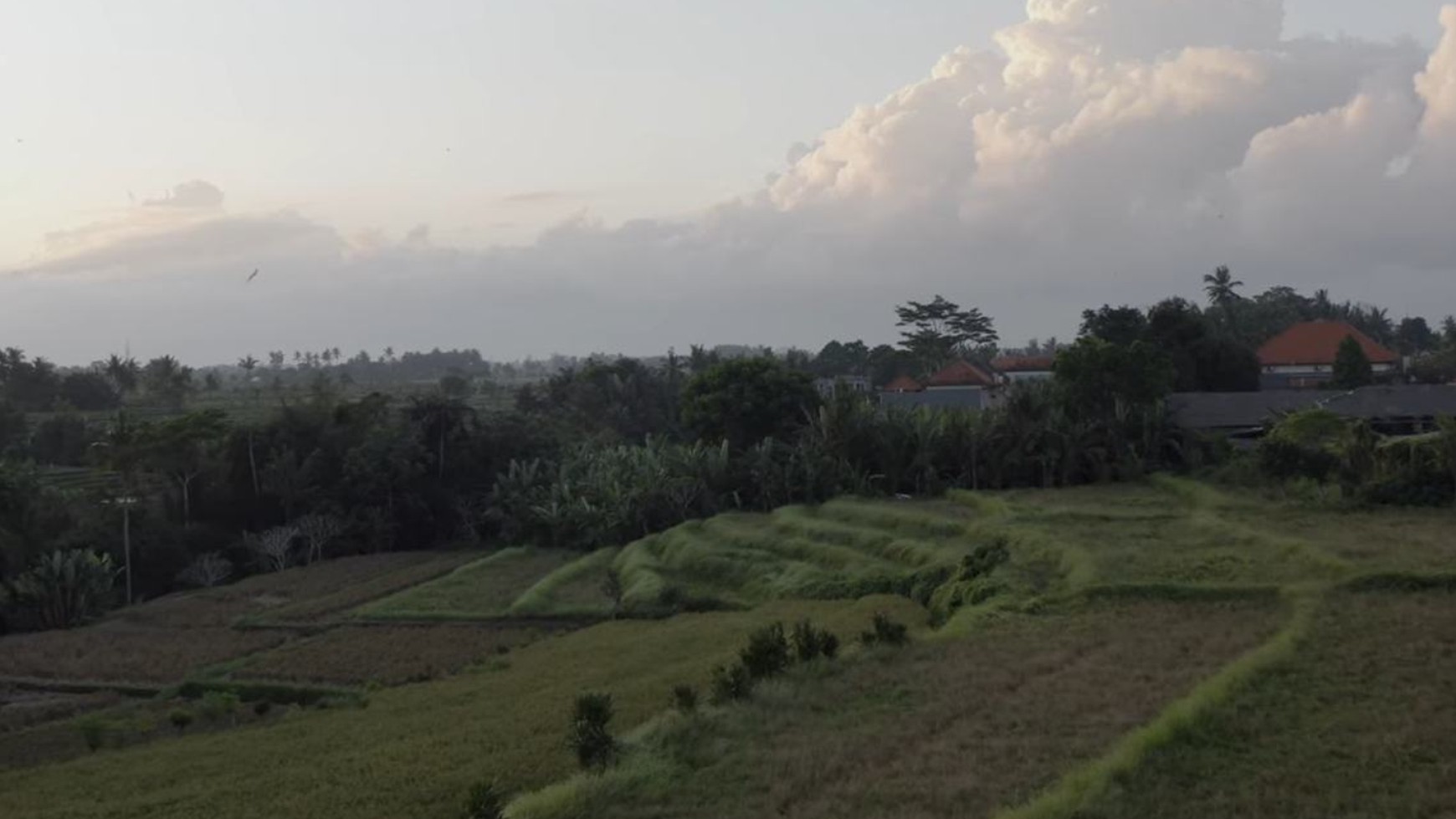 Prime Land Plot Near Bali Bird Park Singapadu Ubud Bali