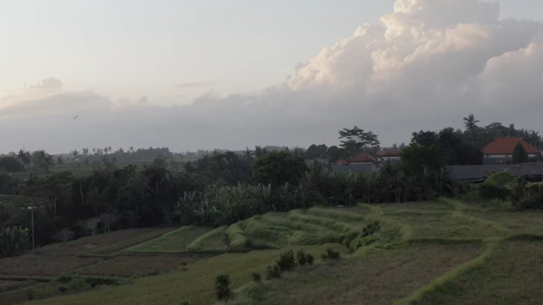 Prime Land Plot Near Bali Bird Park Singapadu Ubud Bali