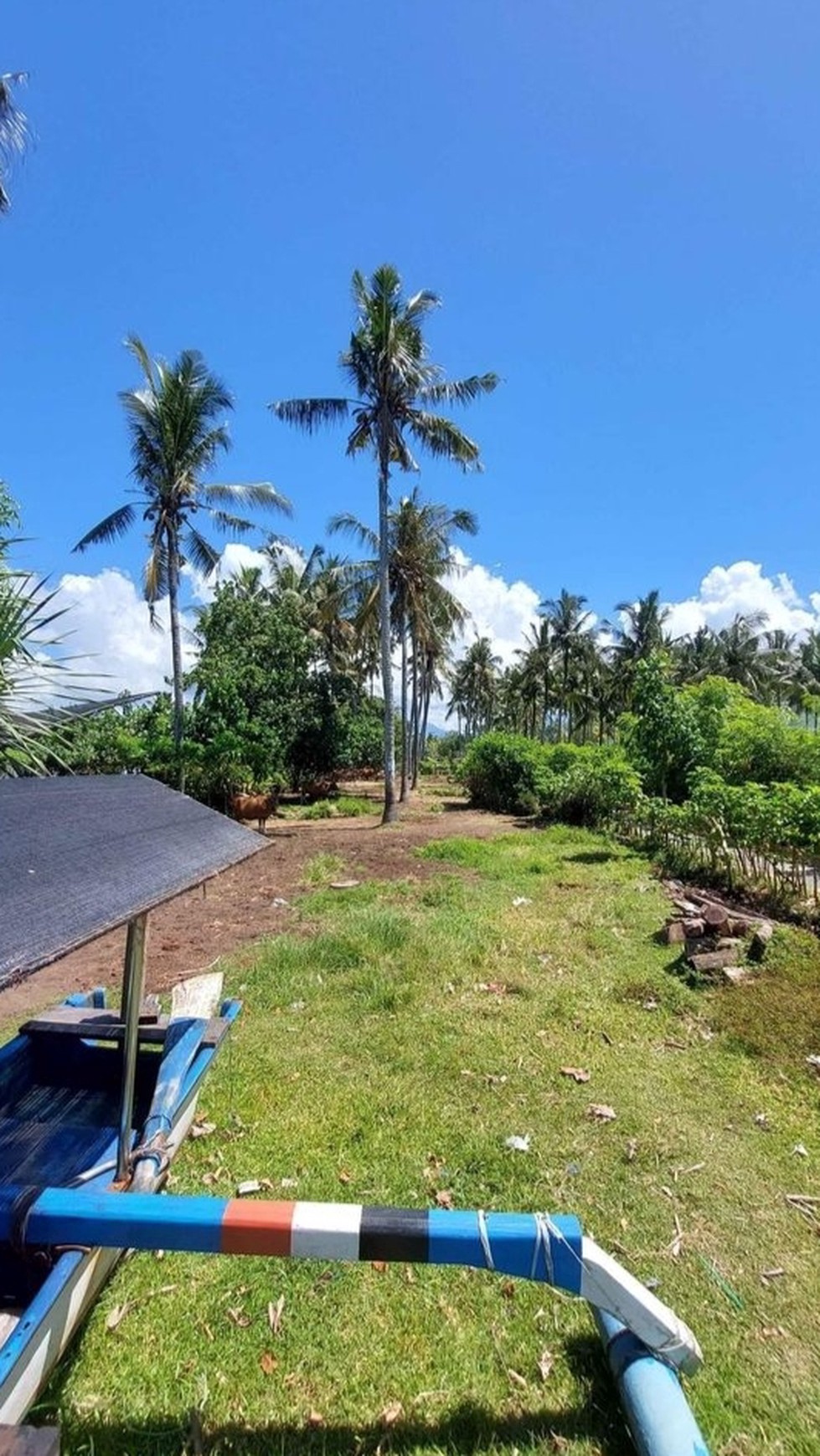 2.000 Sqm of Freehold Land for Sale with Views of Stunning Beach Located in Negara