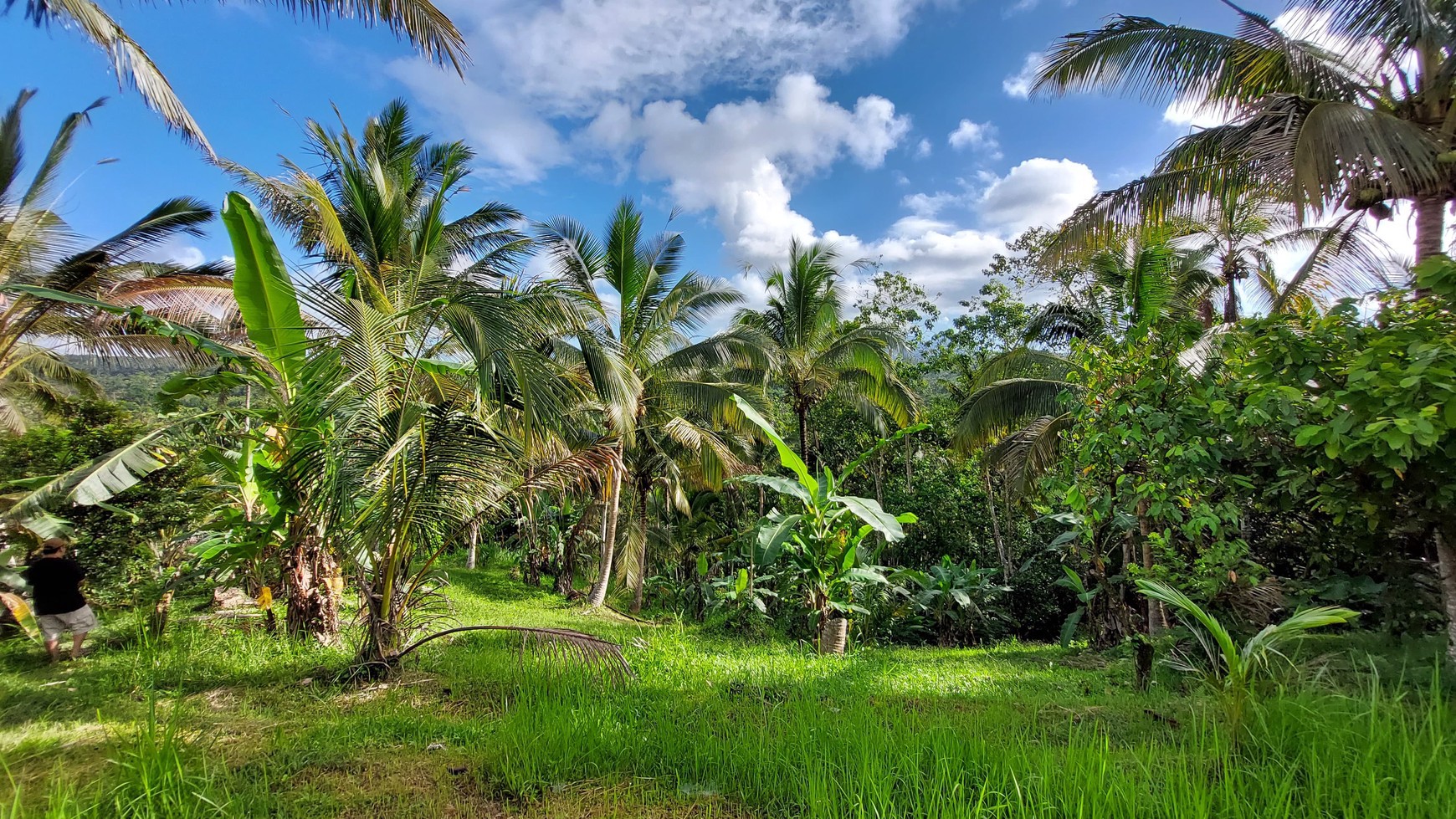 5.850 Sqm of Freehold Land for Sale with Beautiful Mountain View Located in Tabanan