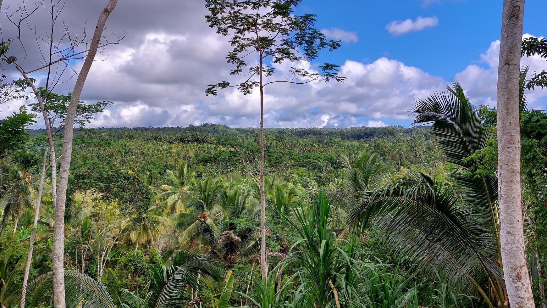 5.850 Sqm of Freehold Land for Sale with Beautiful Mountain View Located in Tabanan