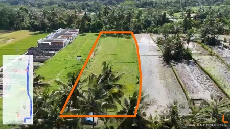 Prime 3.130 sqm of Leasehold Land with Stunning Rice Field Views in Ubud - Walking Distance from Empathy School