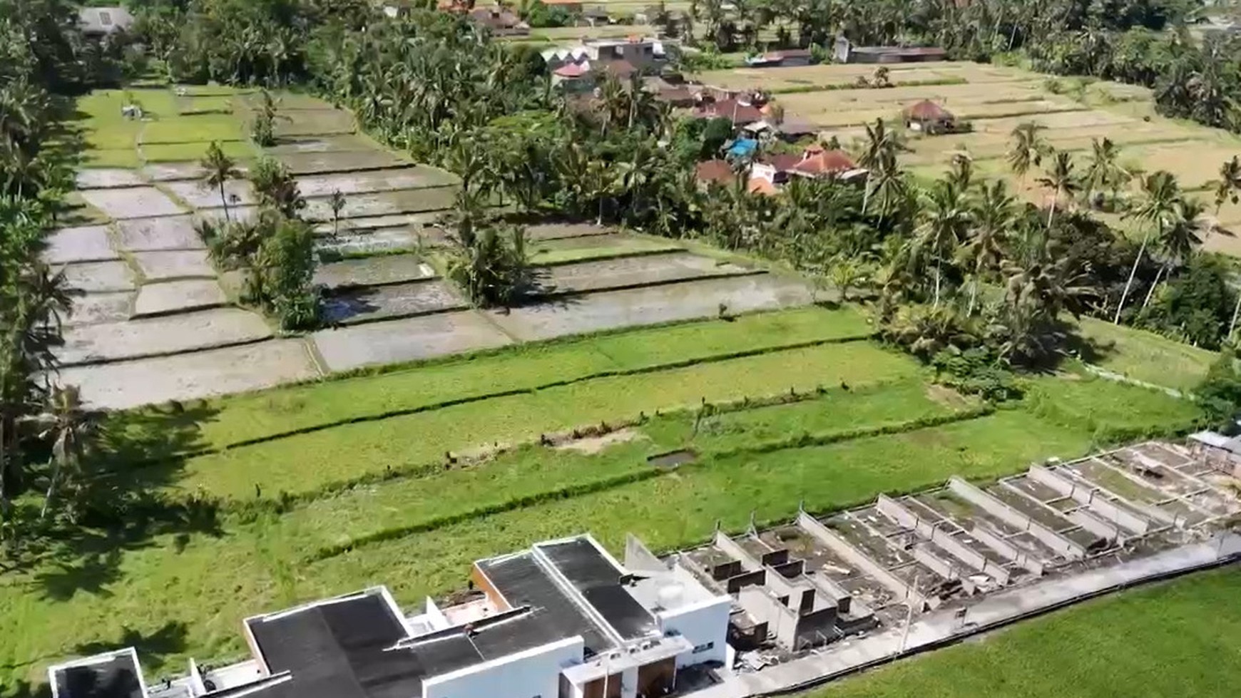 Prime 3.130 sqm of Leasehold Land with Stunning Rice Field Views in Ubud - Walking Distance from Empathy School