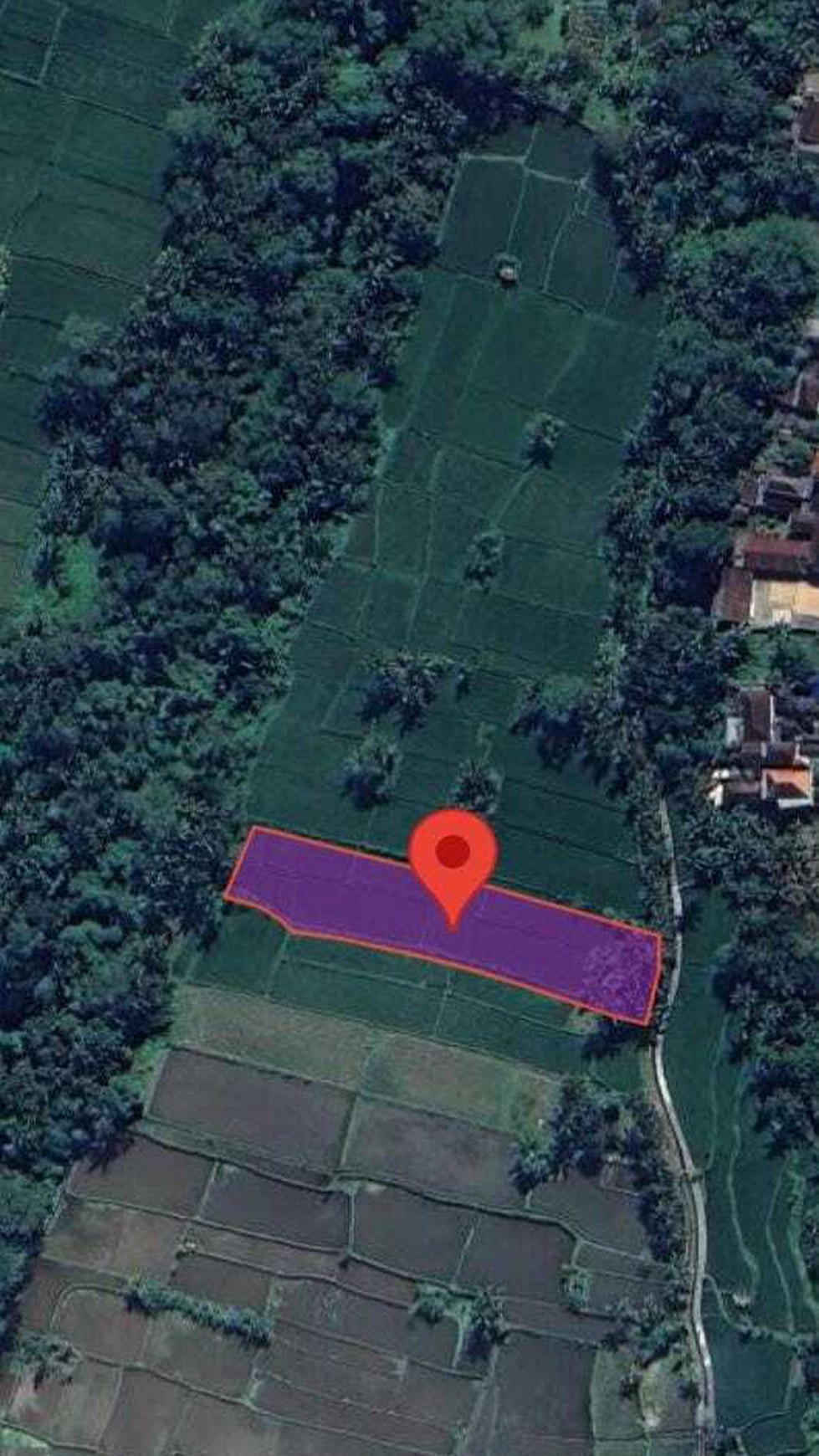 Prime 3.130 sqm of Leasehold Land with Stunning Rice Field Views in Ubud - Walking Distance from Empathy School