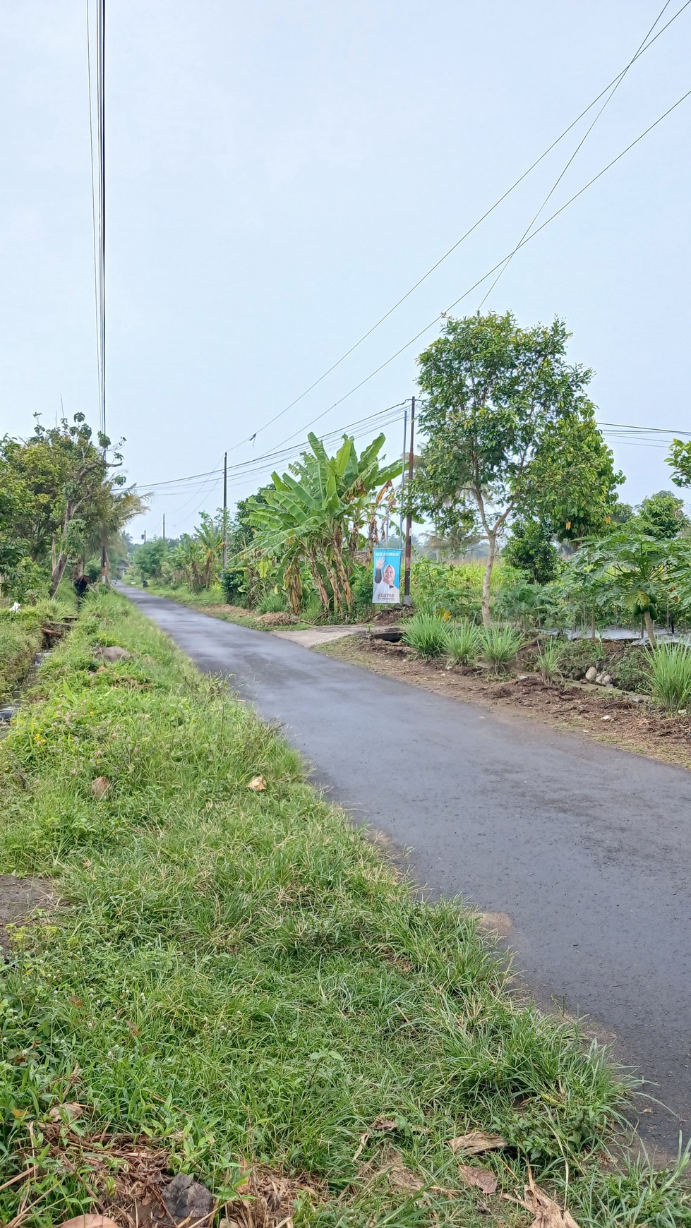 Tanah Sawah Luas 447 Meter Persegi Lokasi Dekat RSUD Sleman 