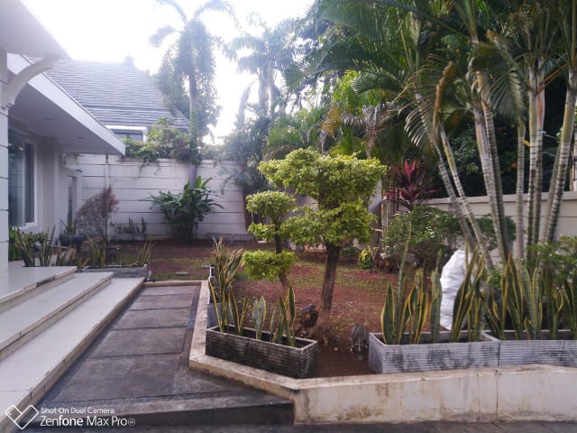 Disewa Rumah di menteng 