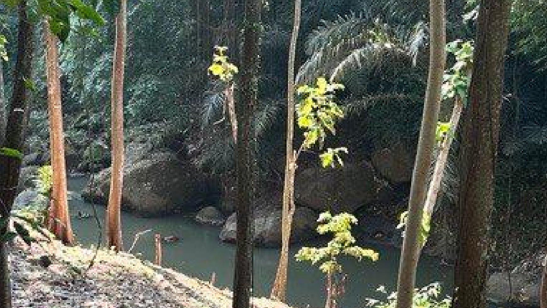 Land Leasehold River View In Cepaka Near Canggu Bali