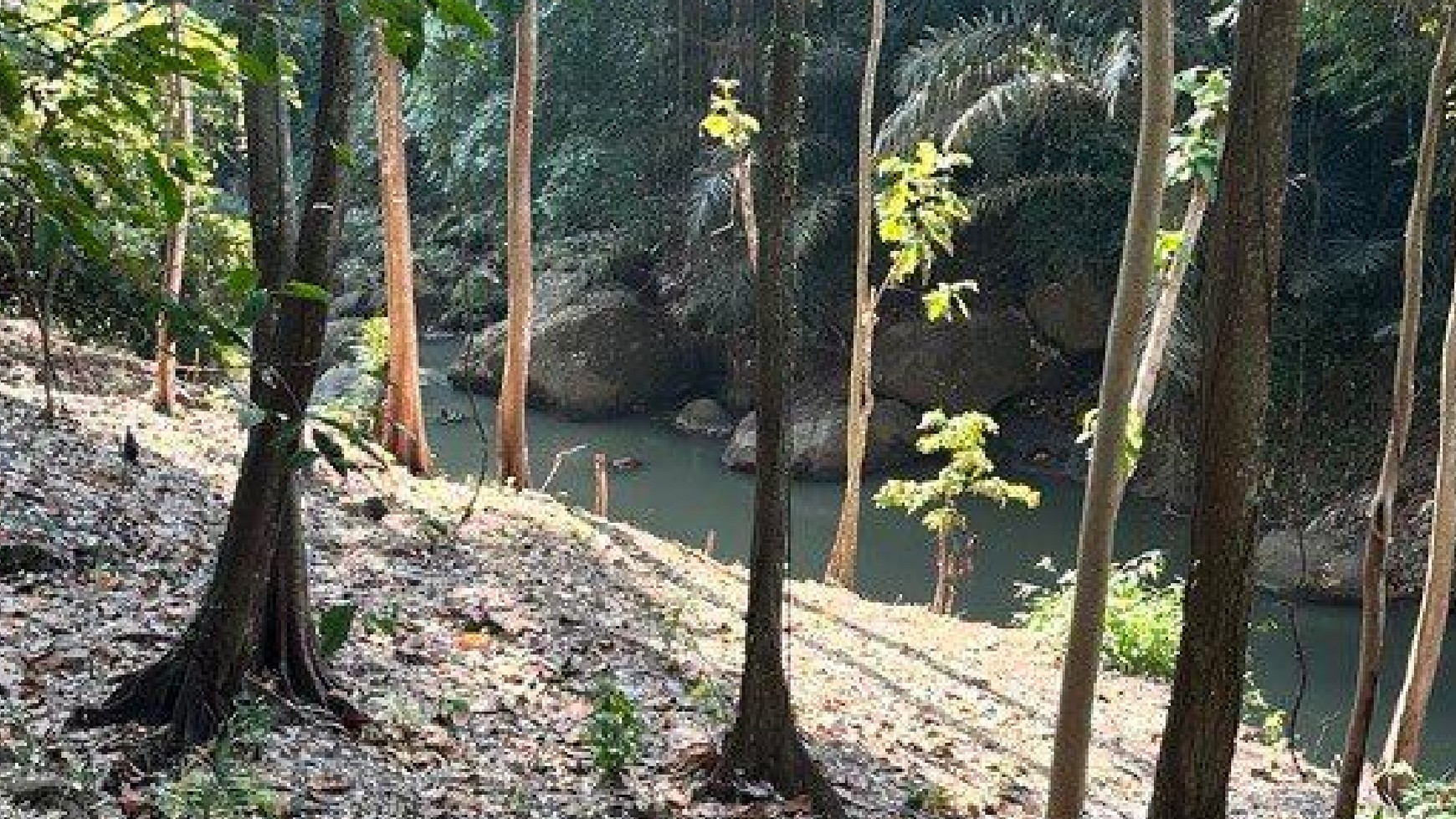Land Leasehold River View In Cepaka Near Canggu Bali