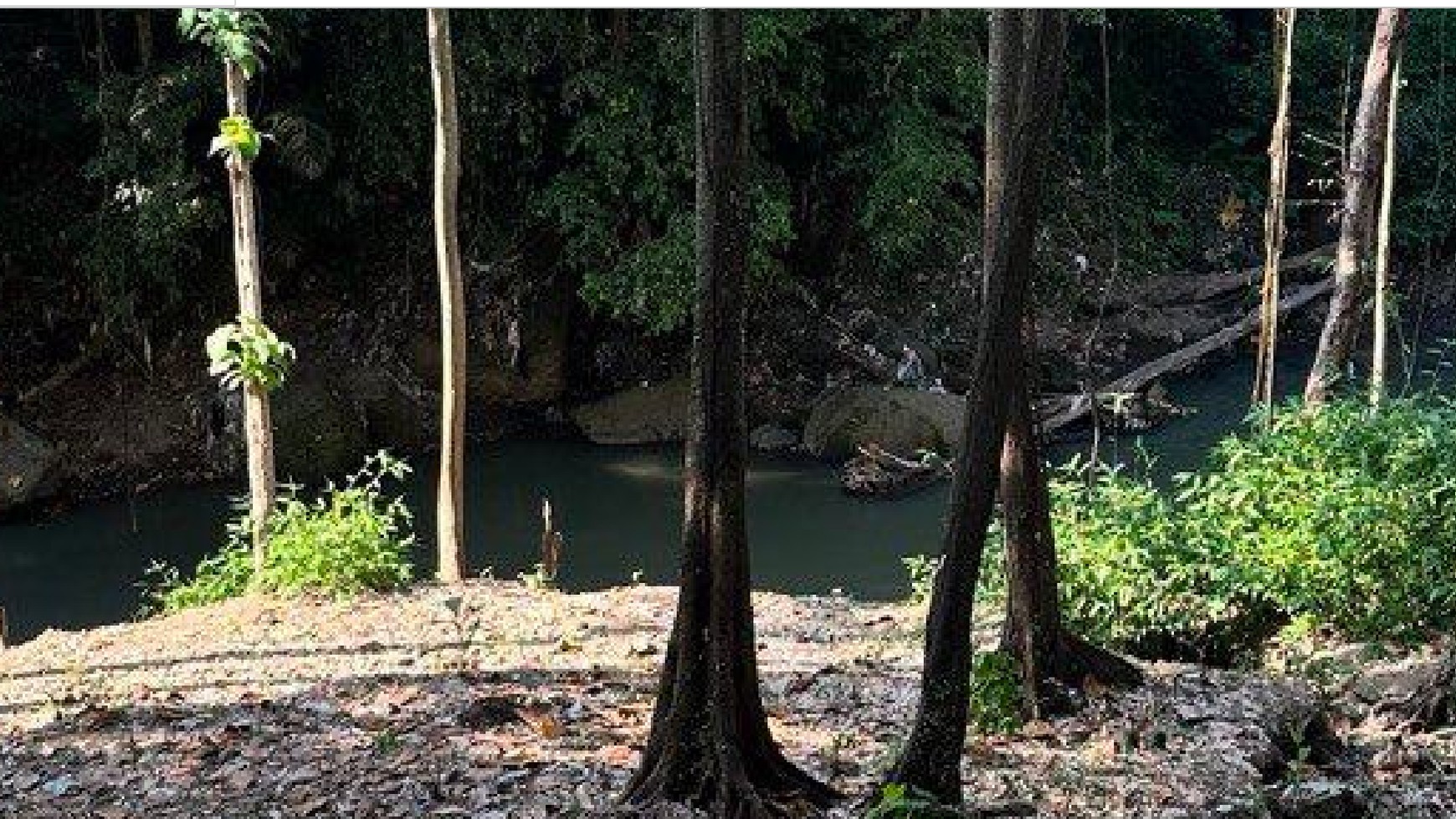 Land Leasehold River View In Cepaka Near Canggu Bali