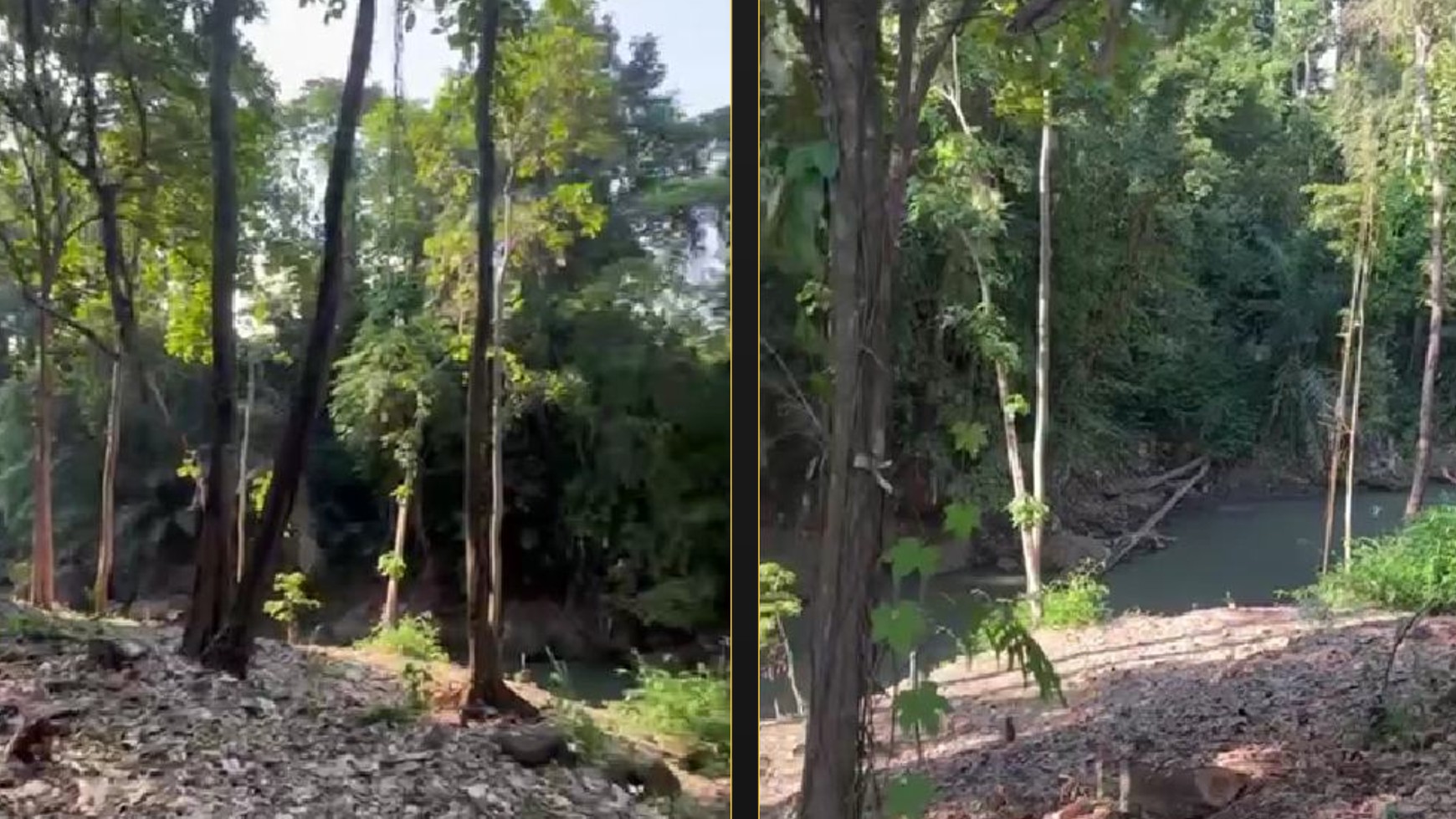 Land Leasehold River View In Cepaka Near Canggu Bali