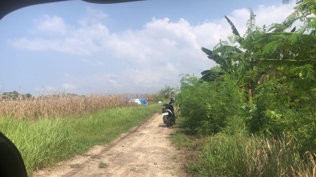 Land Freehold 2955 Sqm Close to the Beach In Tabanan Bali Area