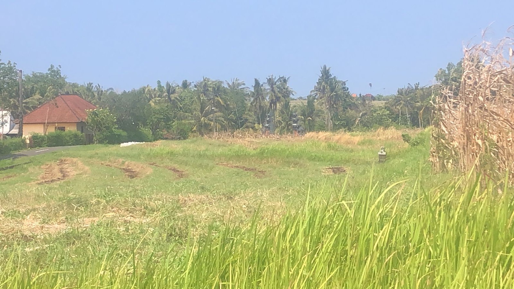 Land Freehold 2955 Sqm Close to the Beach In Tabanan Bali Area