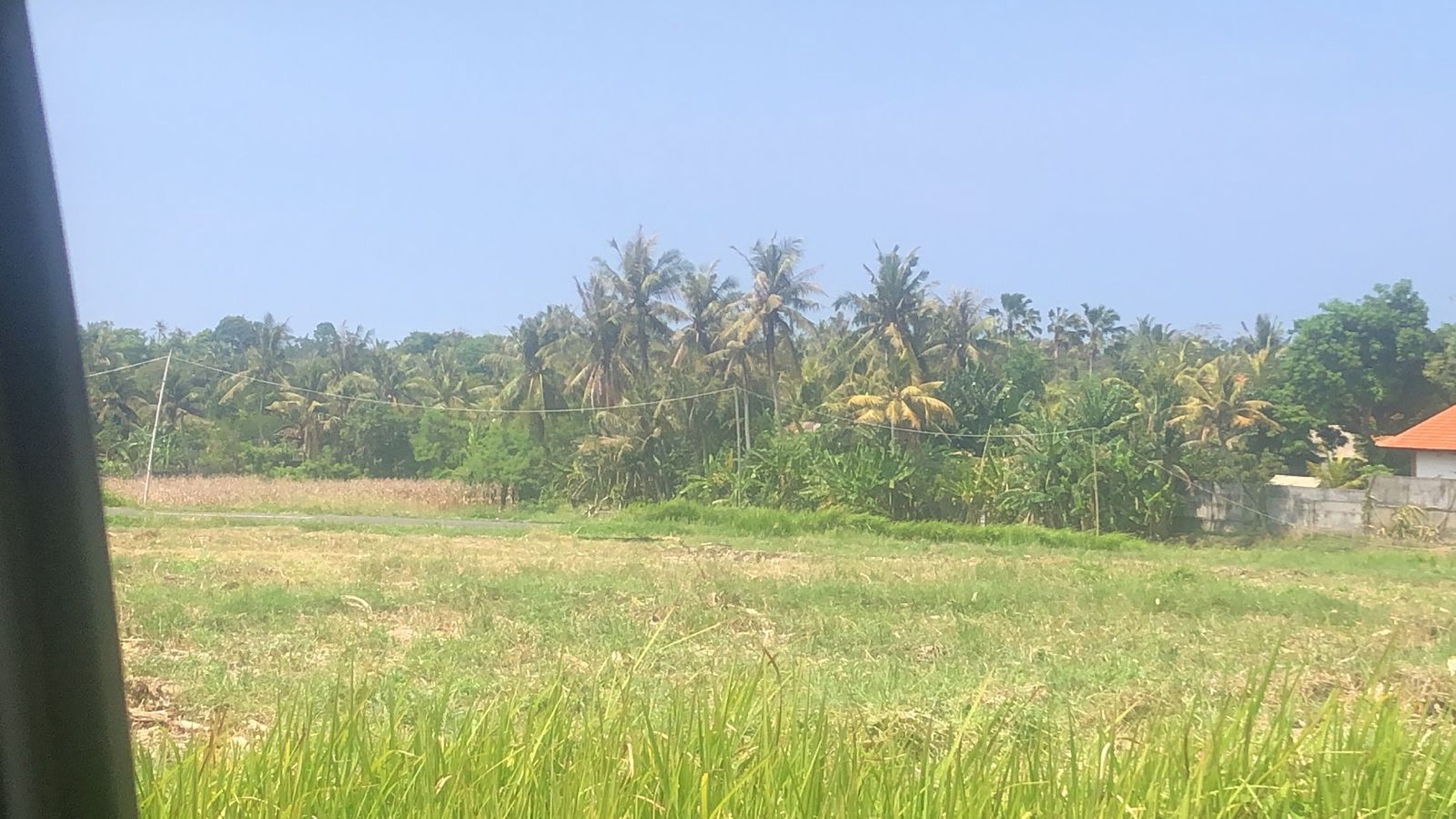 Land Freehold 2955 Sqm Close to the Beach In Tabanan Area