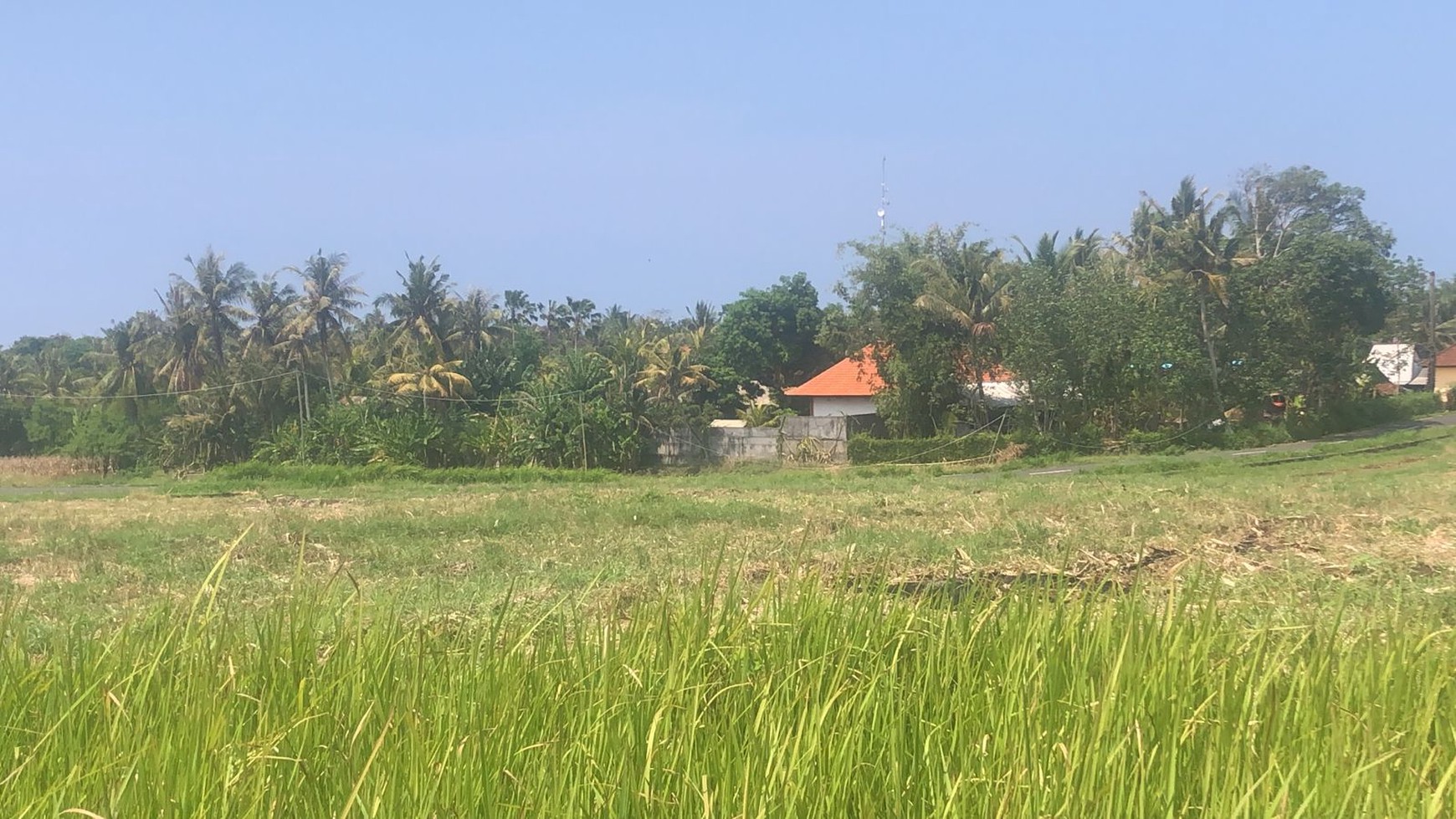 Land Freehold 2955 Sqm Close to the Beach In Tabanan Bali Area