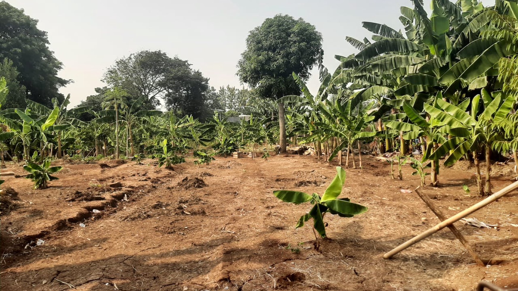 Kavling siap bangun lokasi strategis di Pondok Aren