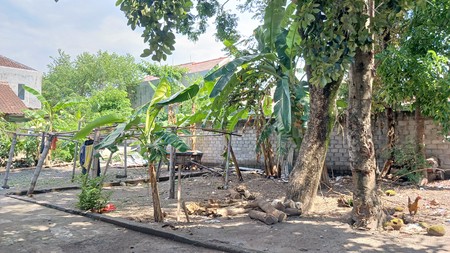 Tanah Luas 267 Meter Persegi Lokasi Dekat Candi Kadisoka Kalasan Sleman 