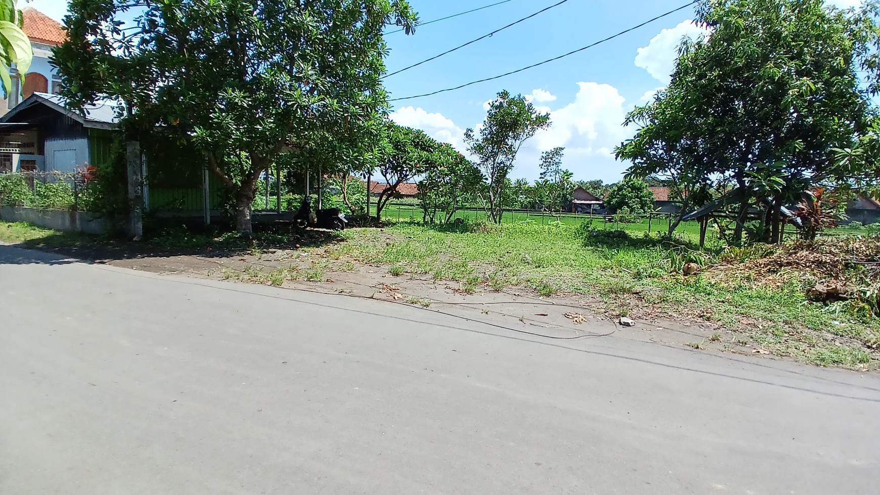 Tanah Pekarangan Luas 1300 Meter Persegi Lokasi Dekat UKRIM Kalasan Sleman