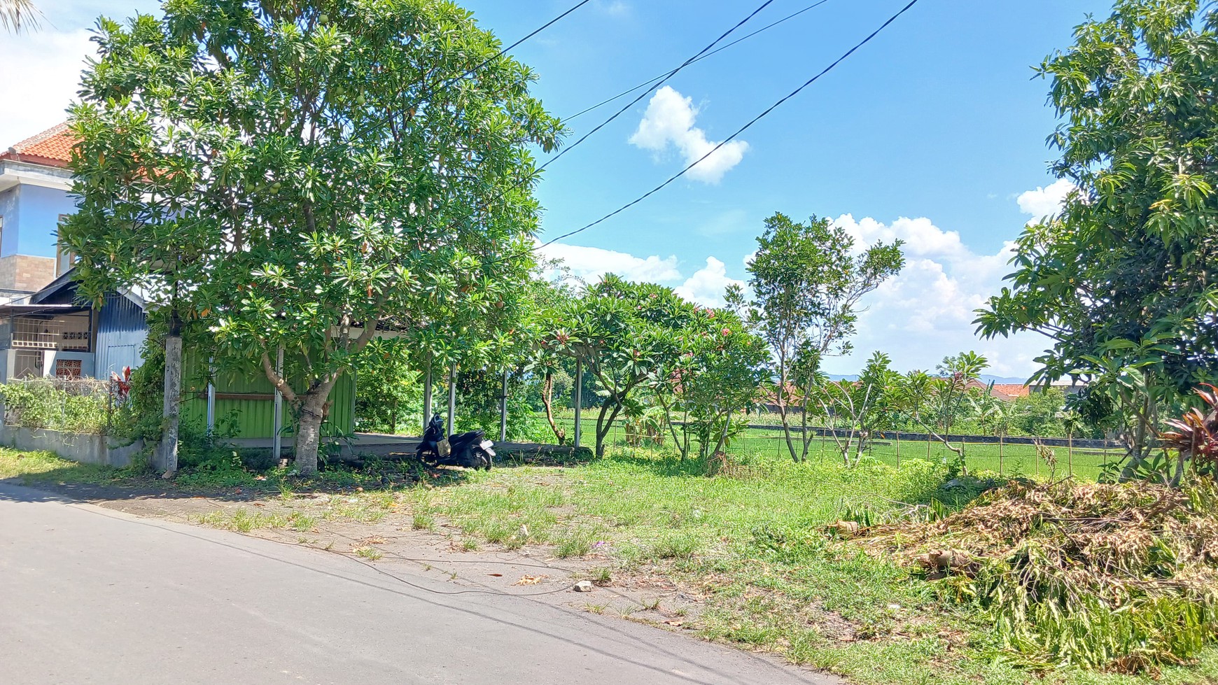 Tanah Pekarangan Luas 1300 Meter Persegi Lokasi Dekat UKRIM Kalasan Sleman
