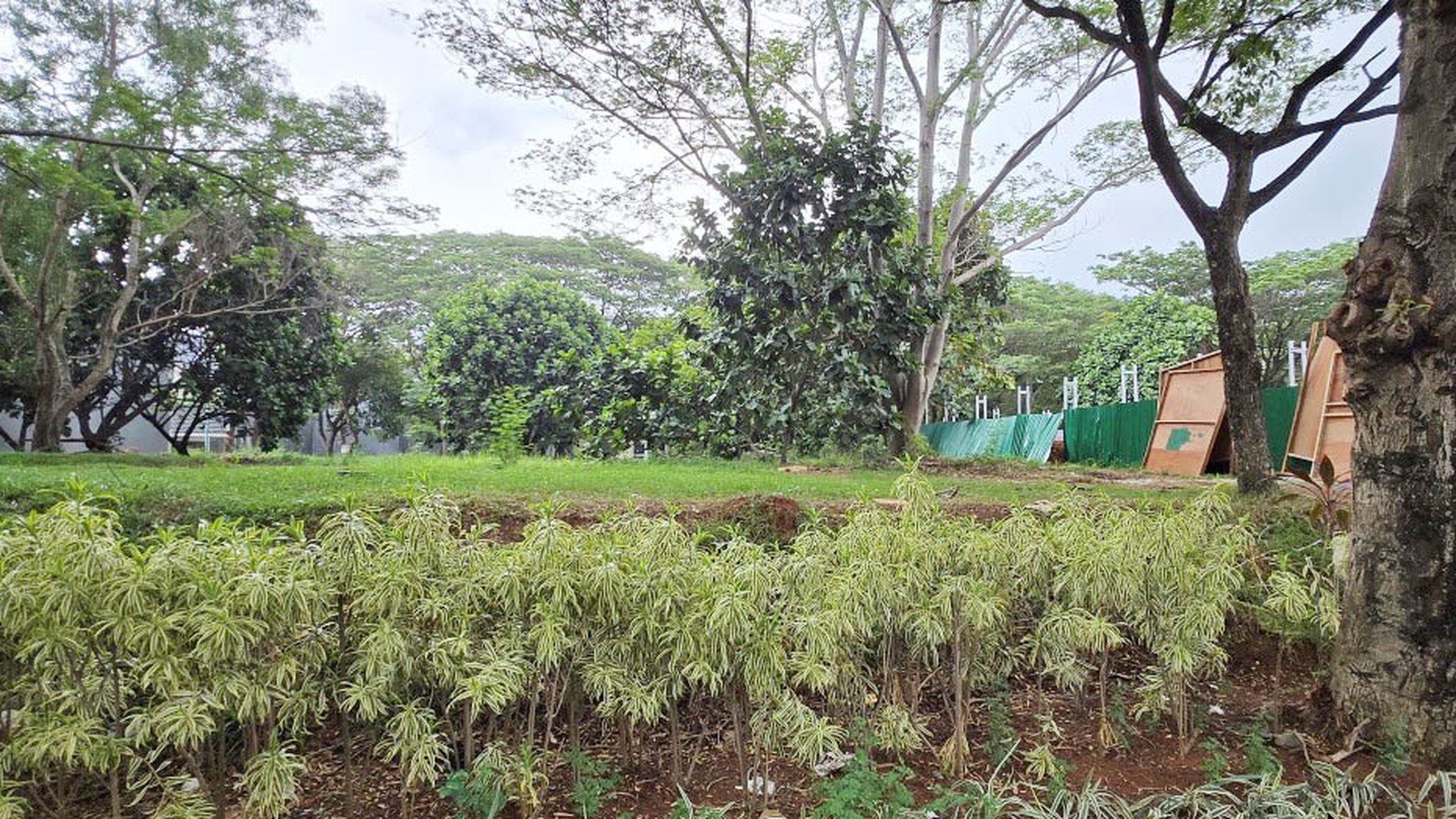 Tanah Royal Orchard, Kelapa Gading, Jakarta