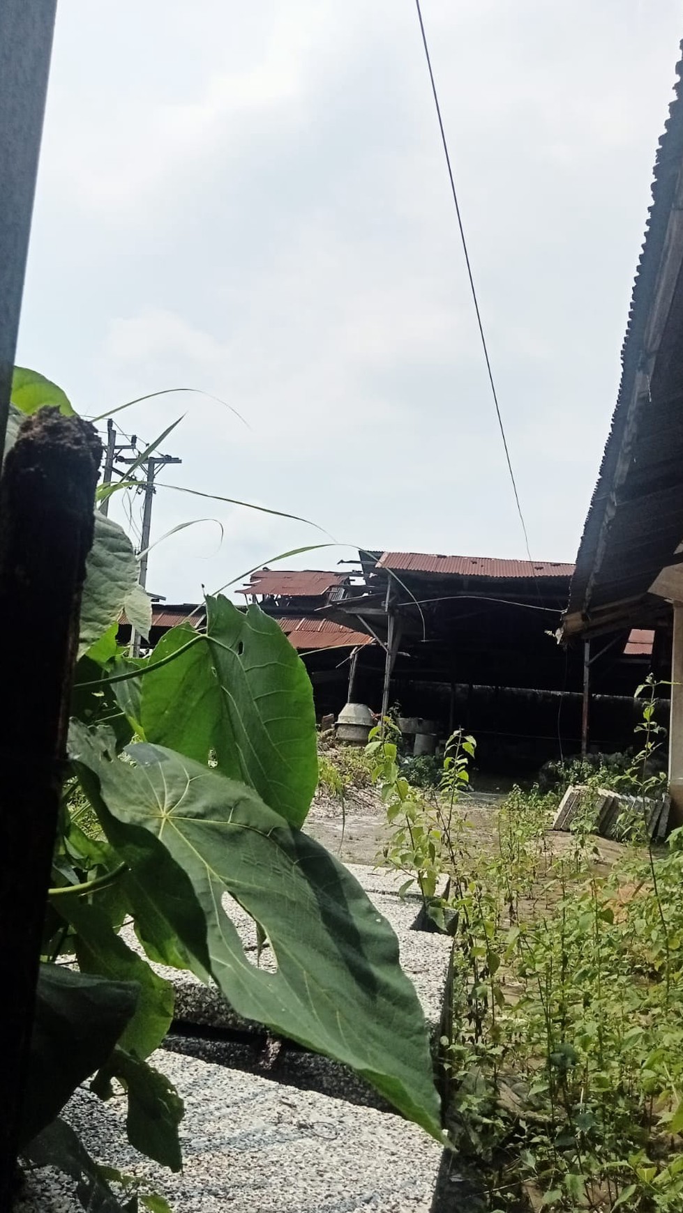 Tanah Luas 1919 Meter Persegi Cocok Untuk Gudang Lokasi Salam Magelang 