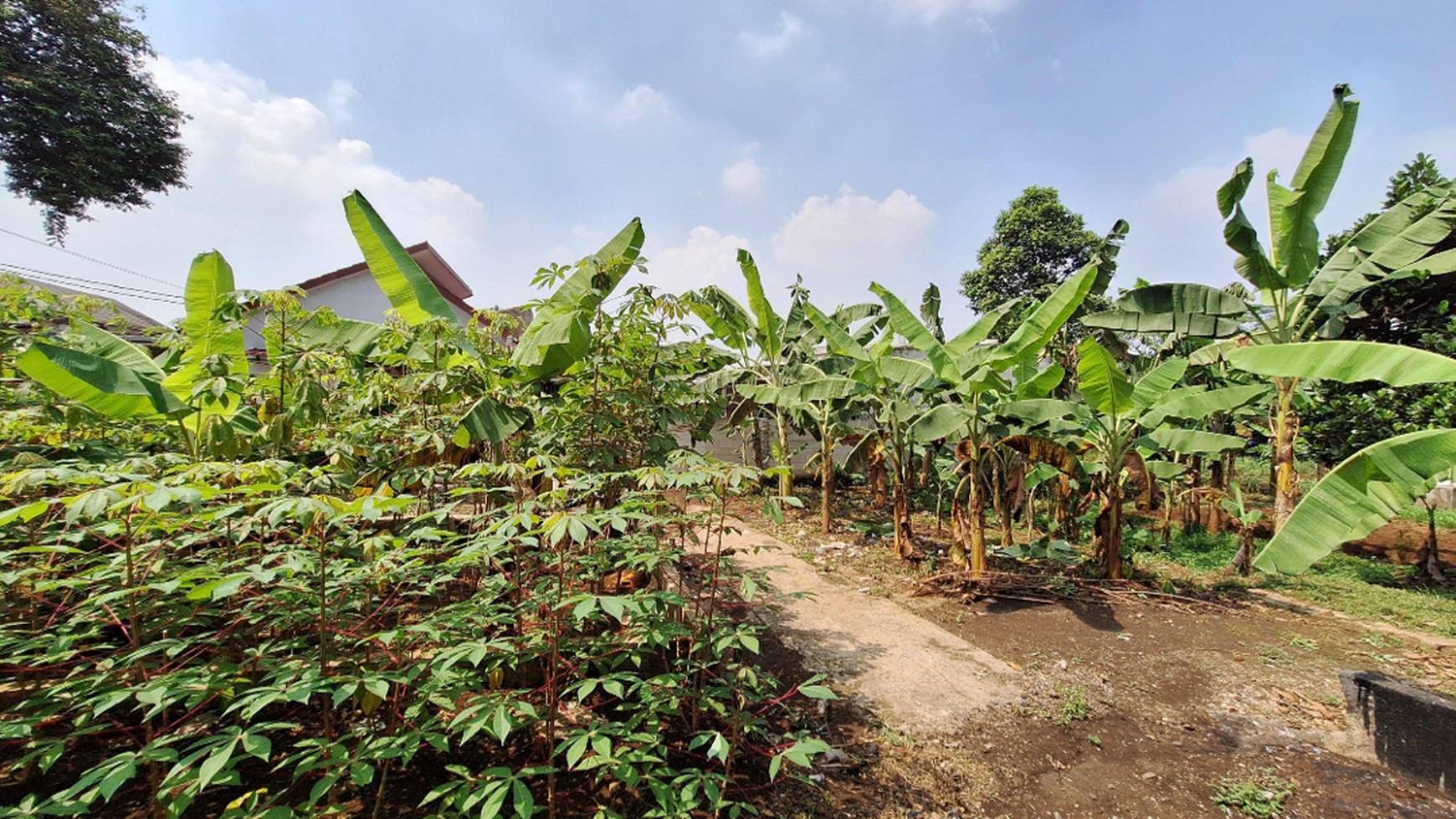 Tanah termurah cocok untuk cluster ditengah kota sawangan