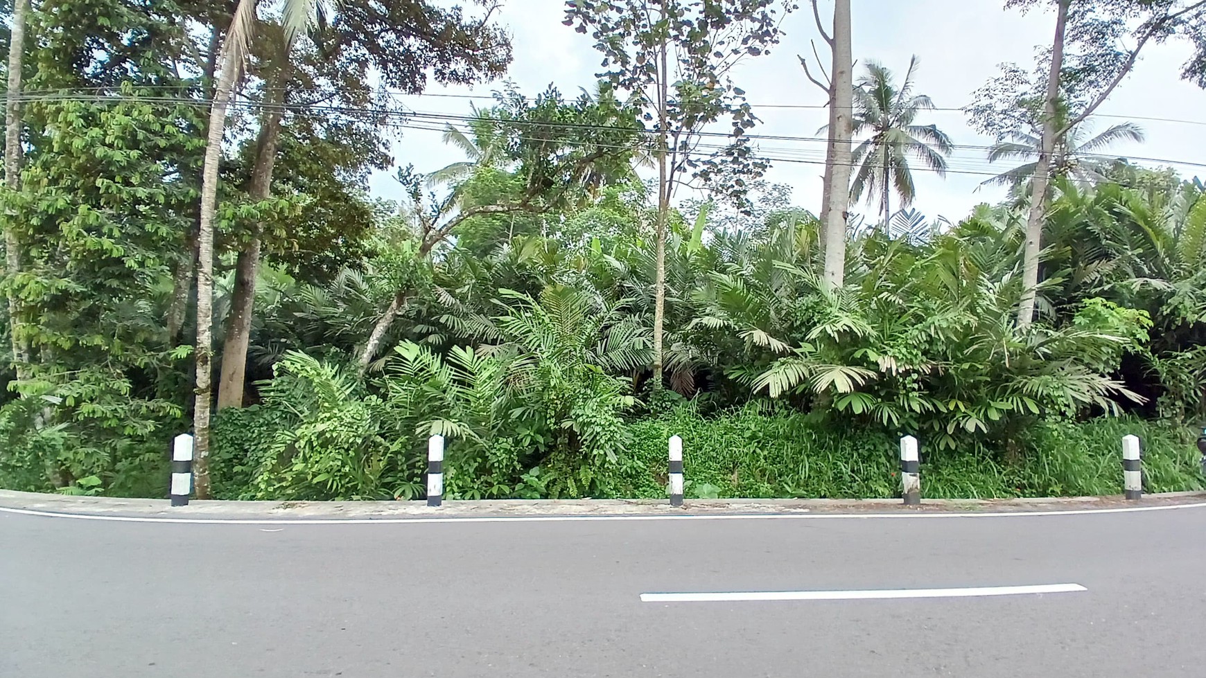 Tanah Luas 2338 Meter Persegi Lokasi Pakem Sleman 