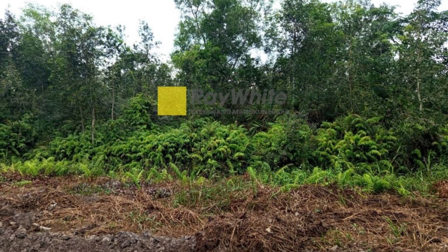 Tanah Dijual di Tanjung Lago