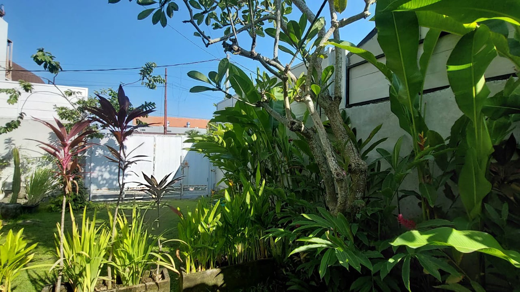 Freehold - Villa in canggu with big garden in Seseh, Canggu