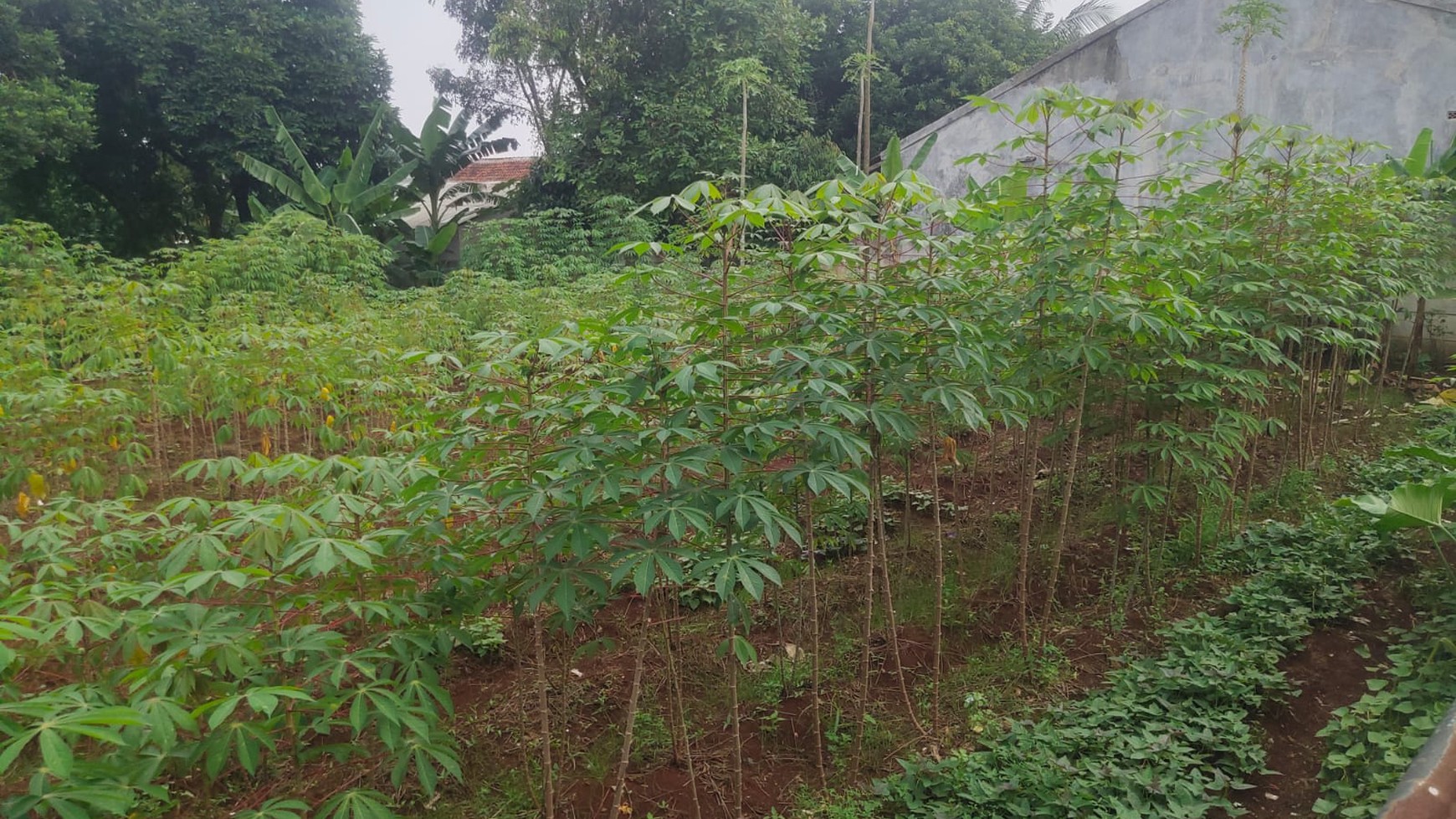 Kavling Siap Bangun Pinggir Jalan dan Strategis @Gunung Sindur