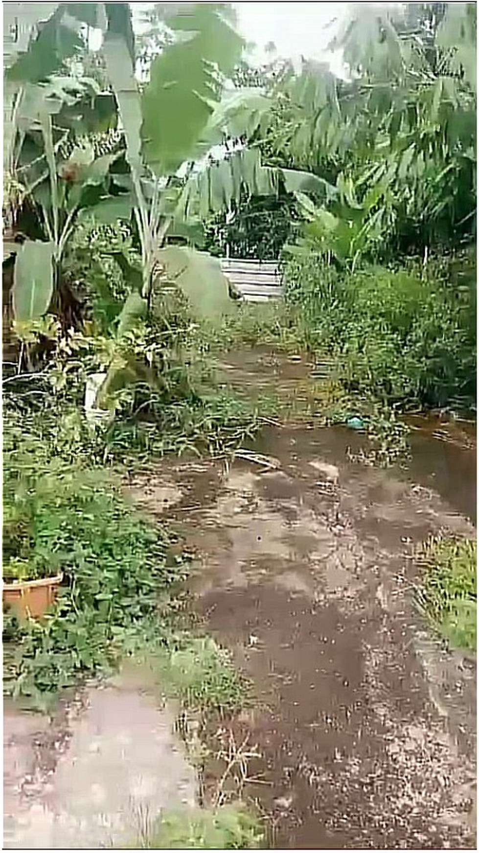 Rumah Hitung Kavling di Kampung Pisang, Karadenan, Cibinong, Bogor 