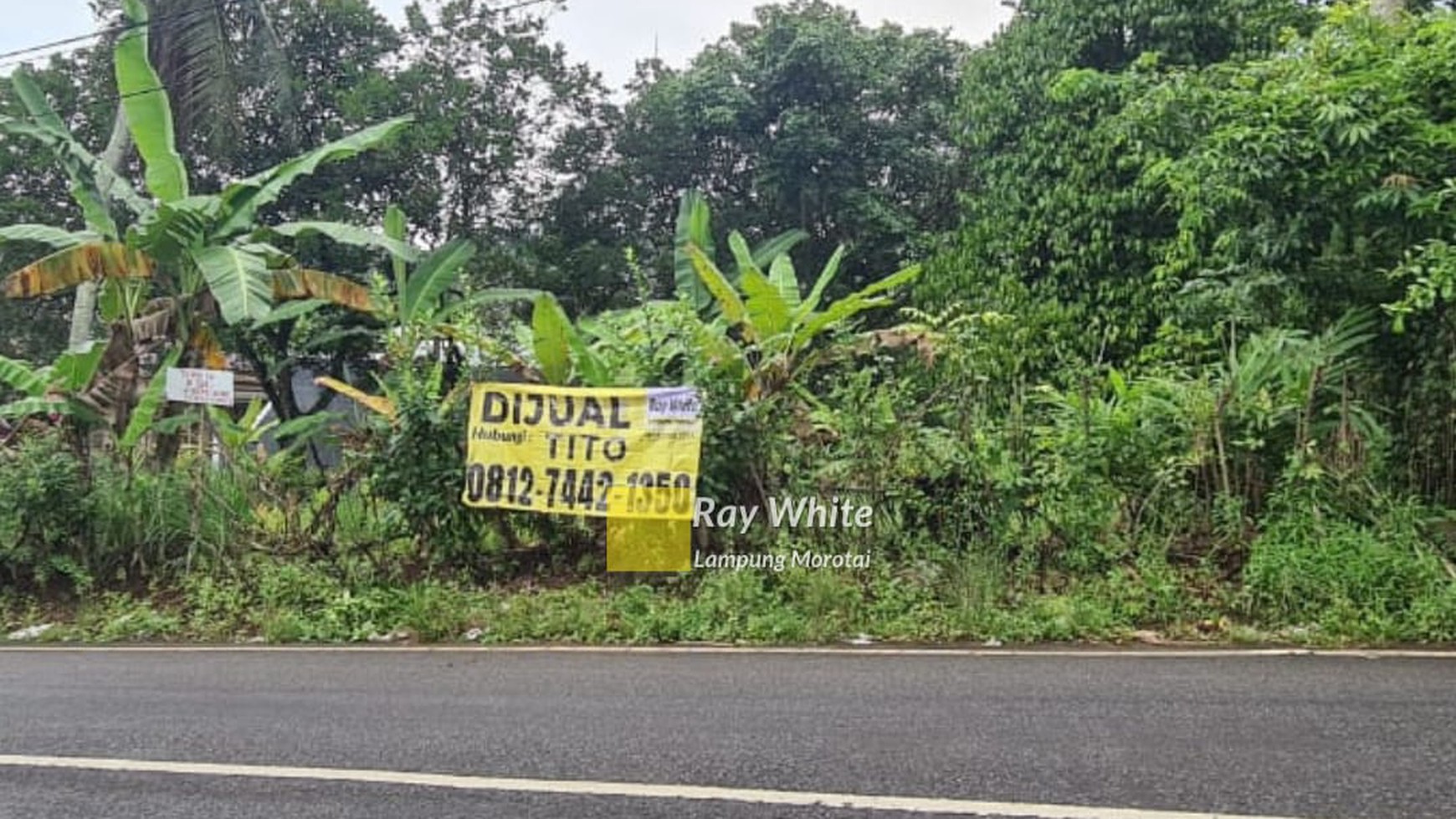 Dijual Tanah Siap Bangun view Kota