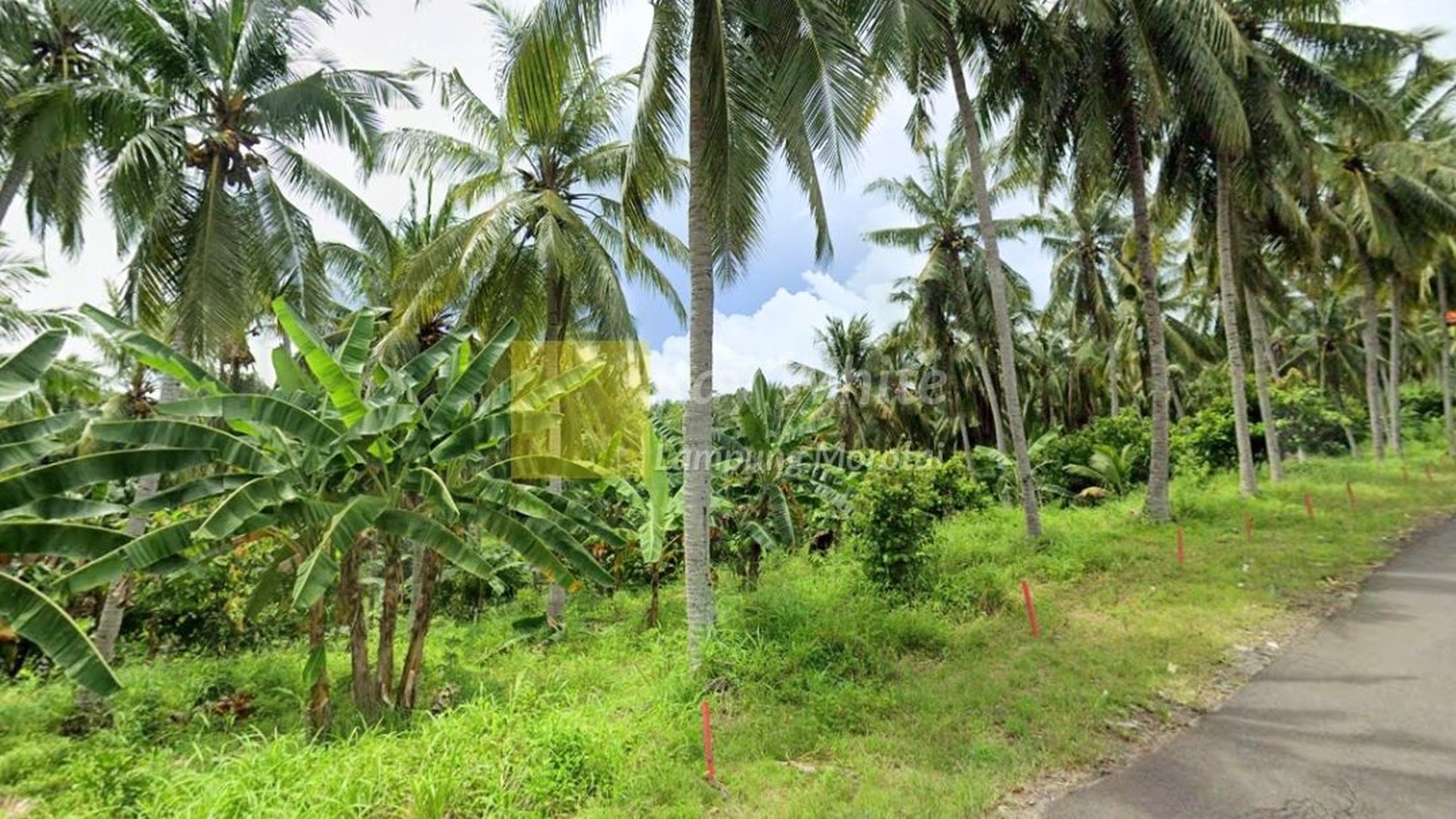 Tanah Sidomulyo Jalan Raya Suak