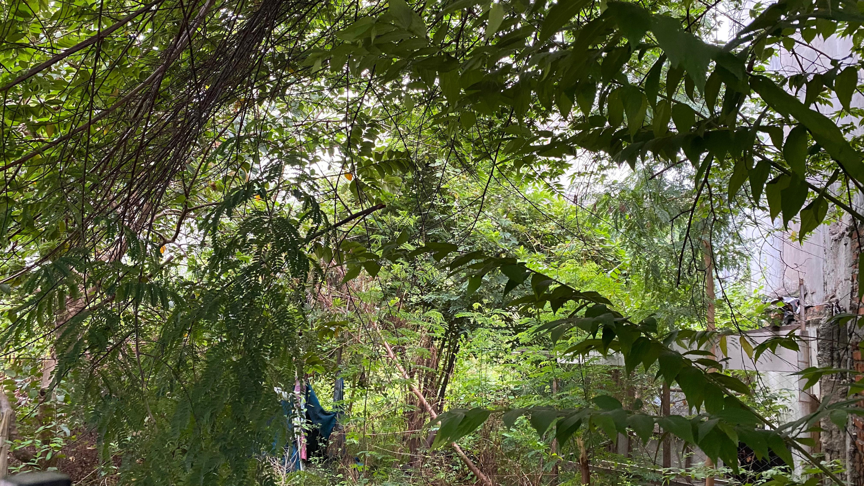 Tanah / Kavlng Kosong di Kedoya Raya 