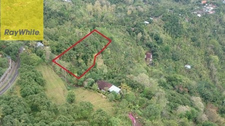 Prime 3100 sqm Land for Sale in Lovina Hills - Sea View & Green Scenery