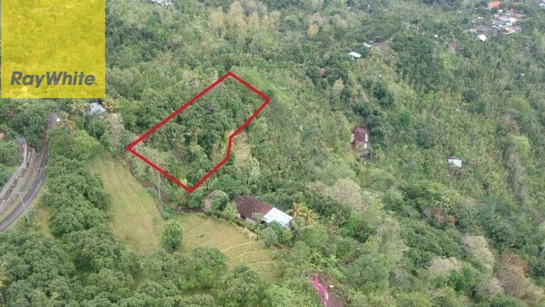 Prime 3100 sqm Land for Sale in Lovina Hills - Sea View & Green Scenery