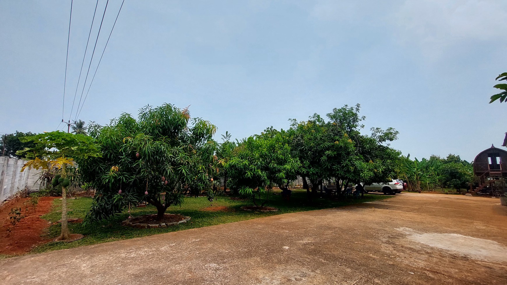 Rumah Asri dengan Kebun & Sawah Produktif - Hunian Nyaman, Investasi Menjanjikan di Srengseng Sukatani