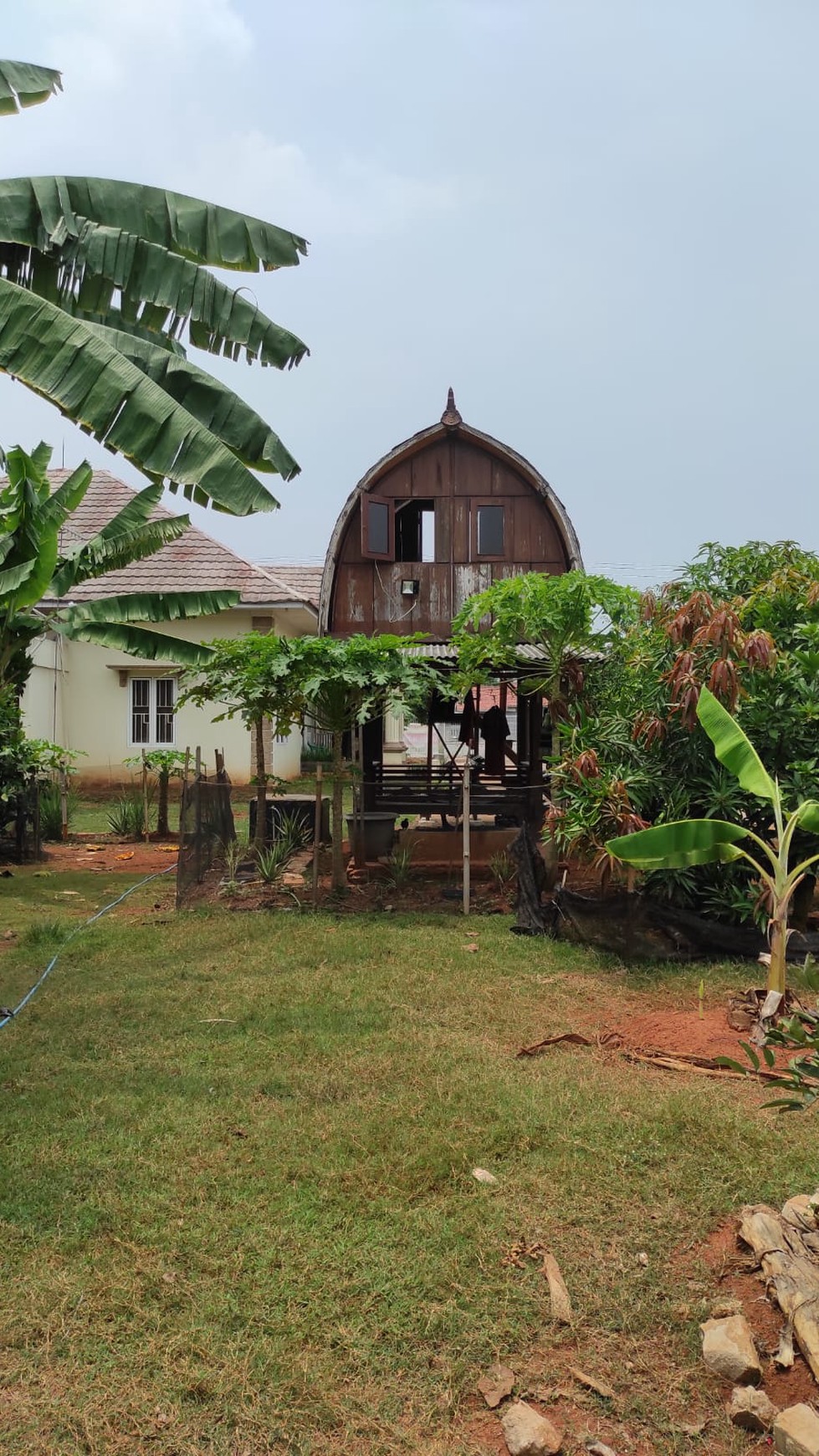 Rumah Asri dengan Kebun & Sawah Produktif - Hunian Nyaman, Investasi Menjanjikan di Srengseng Sukatani