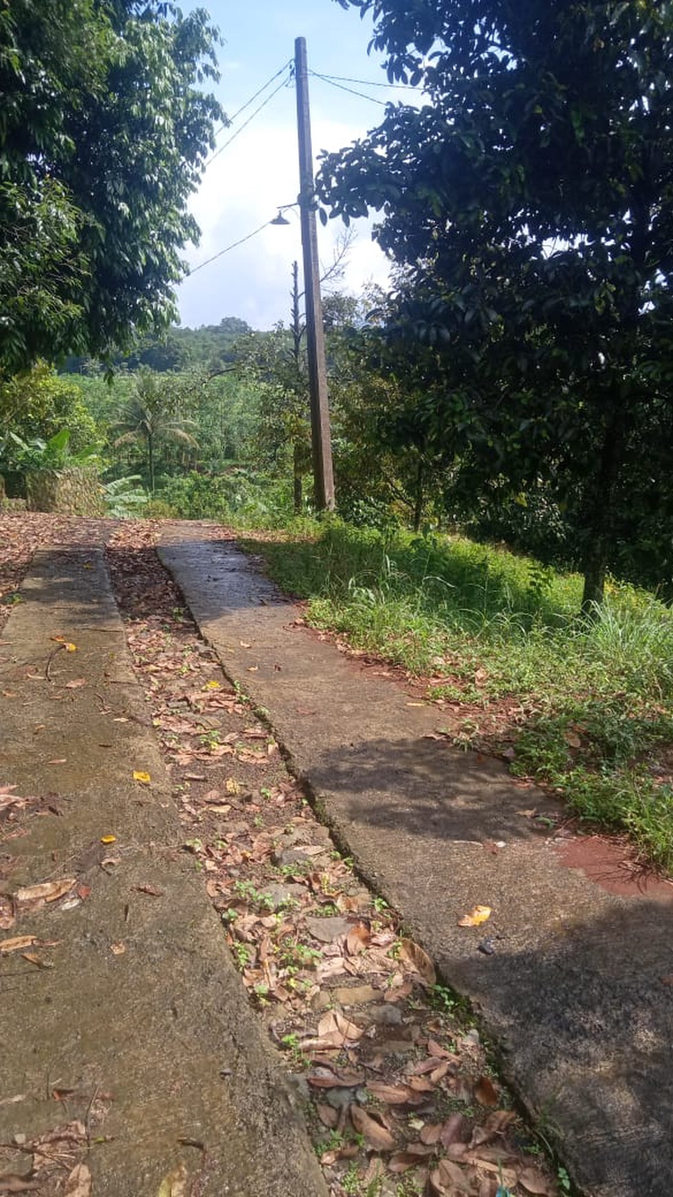 Tanah / Kavling Sangat Luas di Cigudeg 