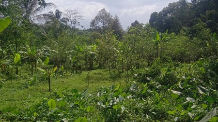 Tanah / Kavling Sangat Luas di Cigudeg 