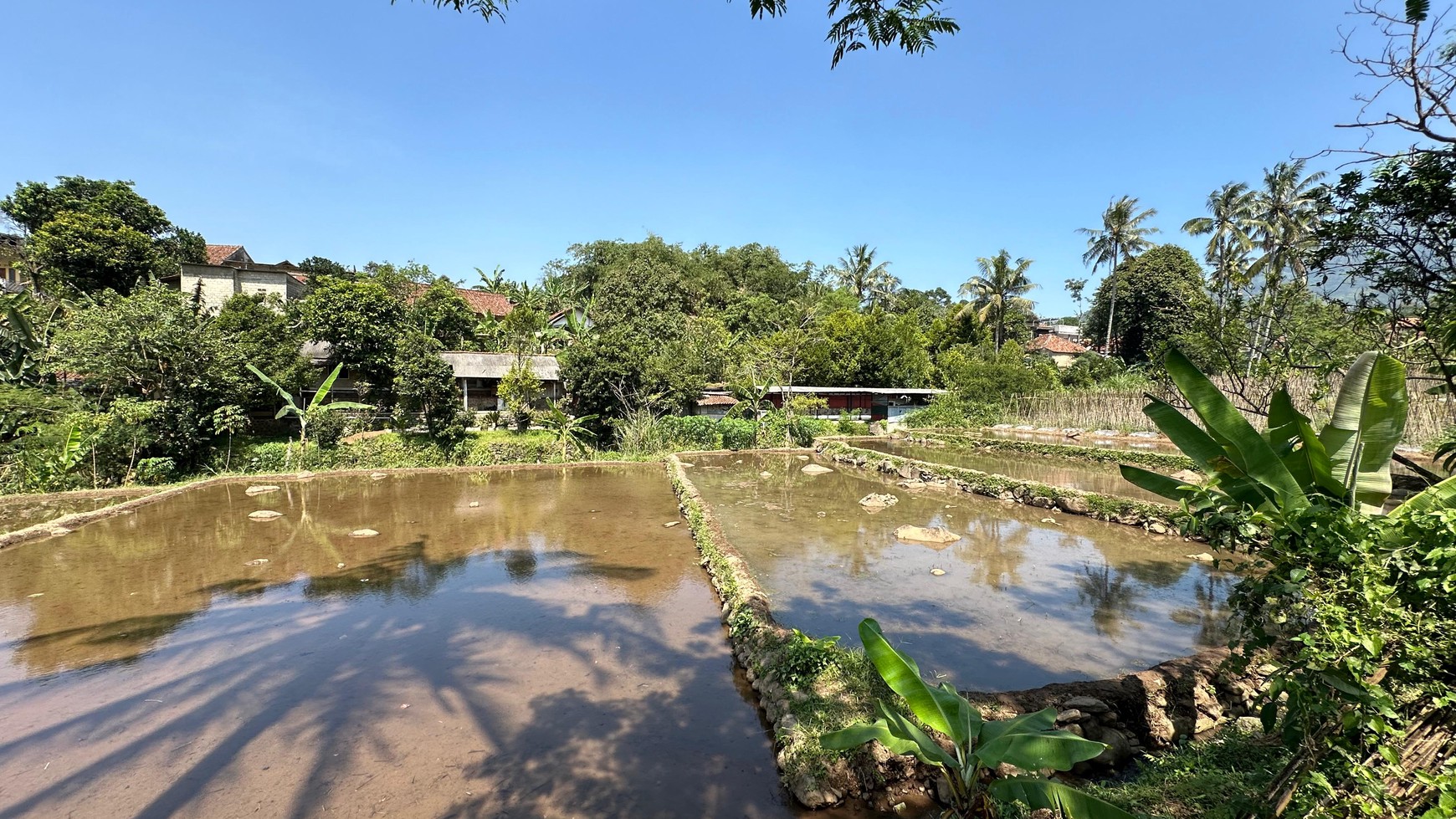 Lahan 1.6 Hektar di Cijeruk Bogor 