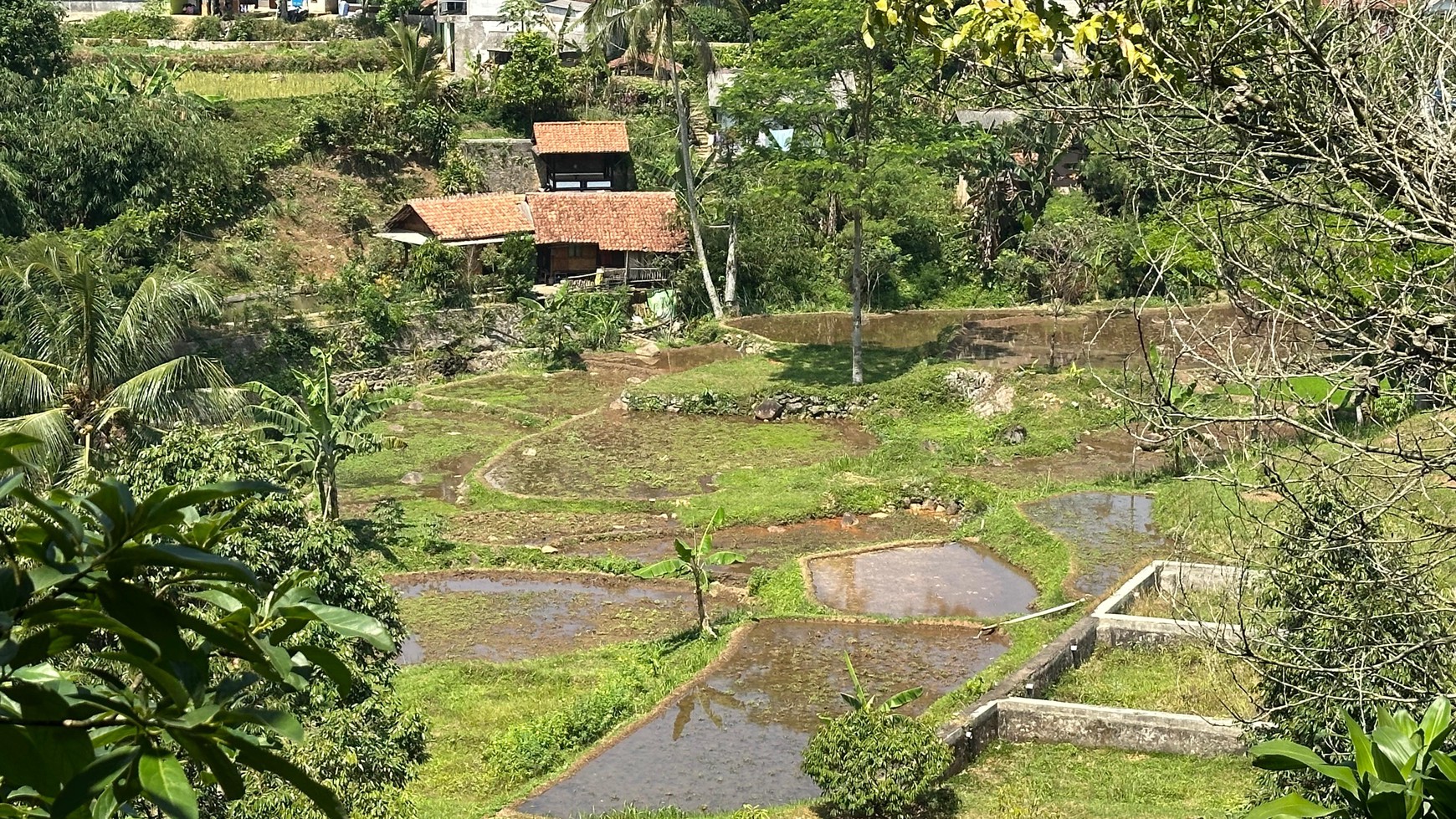 Lahan 1.6 Hektar di Cijeruk Bogor 