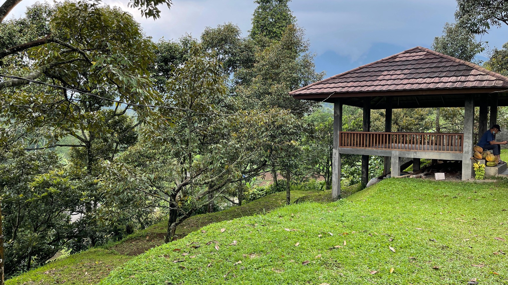 Lahan 1.6 Hektar di Cijeruk Bogor 