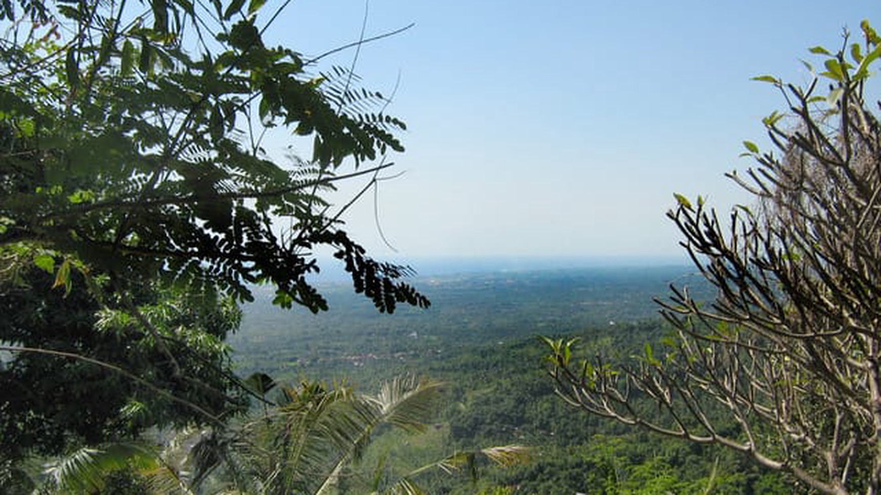 Prime 3100 sqm Land for Sale in Lovina Hills - Sea View & Green Scenery