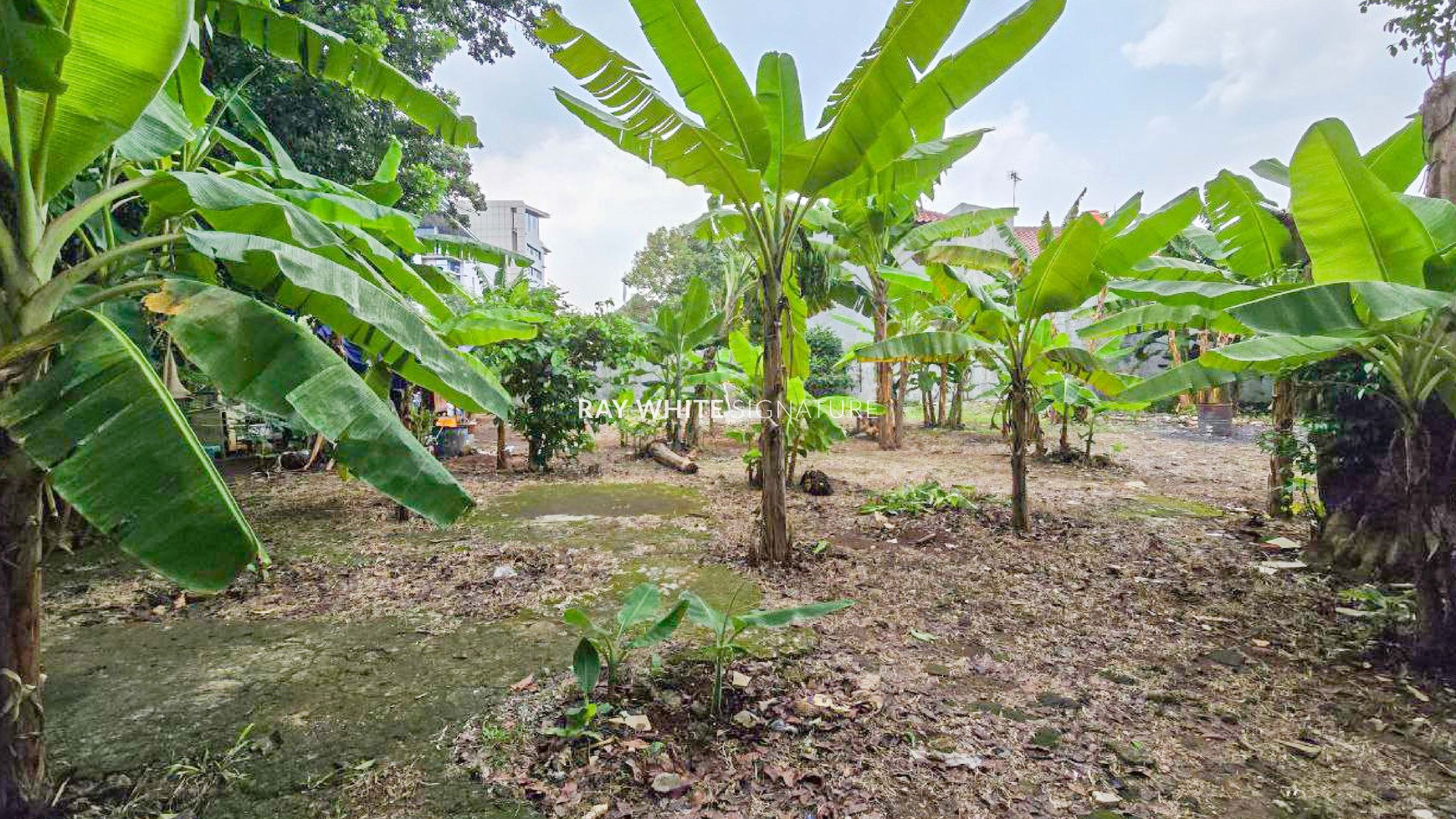 Dijual Tanah Hoek Lokasi Bagus Di Hang Jebat 2 Kebayoran Baru Jakarta Selatan 