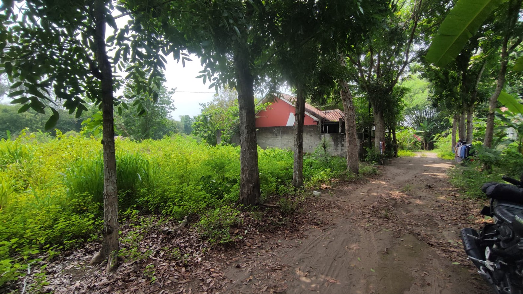 Tanah Seluas 300 Meter Persegi Di Daerah Kalasan Sleman