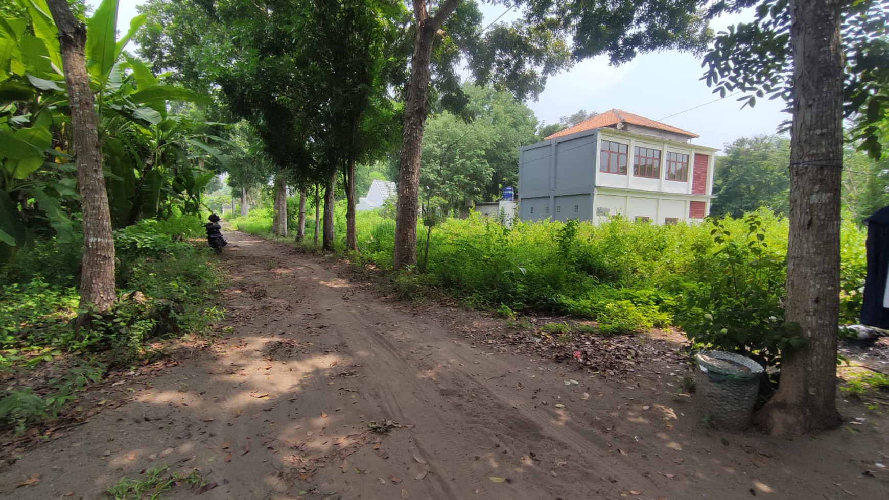 Tanah Seluas 300 Meter Persegi Di Daerah Kalasan Sleman