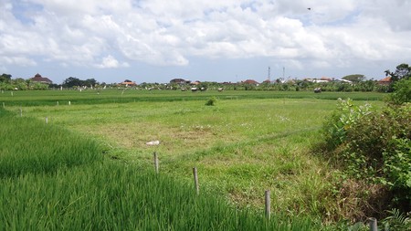 Freehold Land In Denpasar With Rice Field View Close To Kerobokan