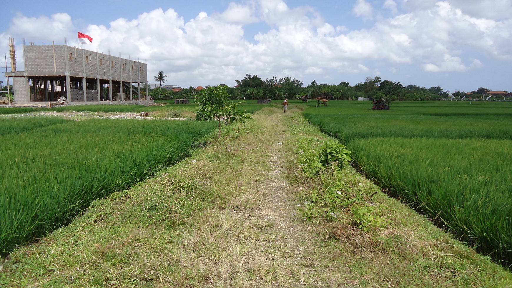 Freehold Land In Denpasar With Rice Field View Close To Kerobokan