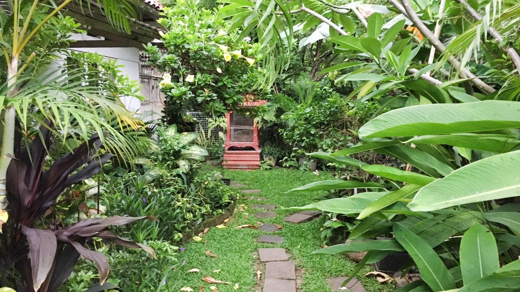 Rumah Bagus, Lokasi Tengah Kota di Menteng Jakarta Pusat