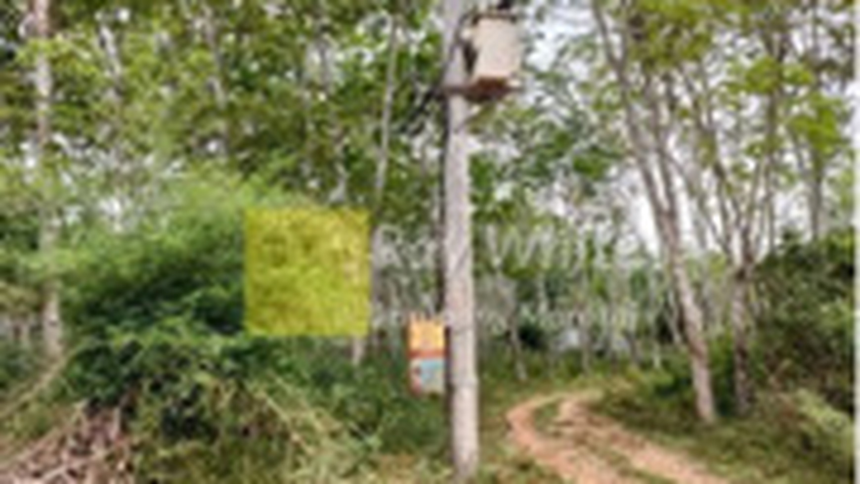 Dijual Tanah di Sumatera Selatan